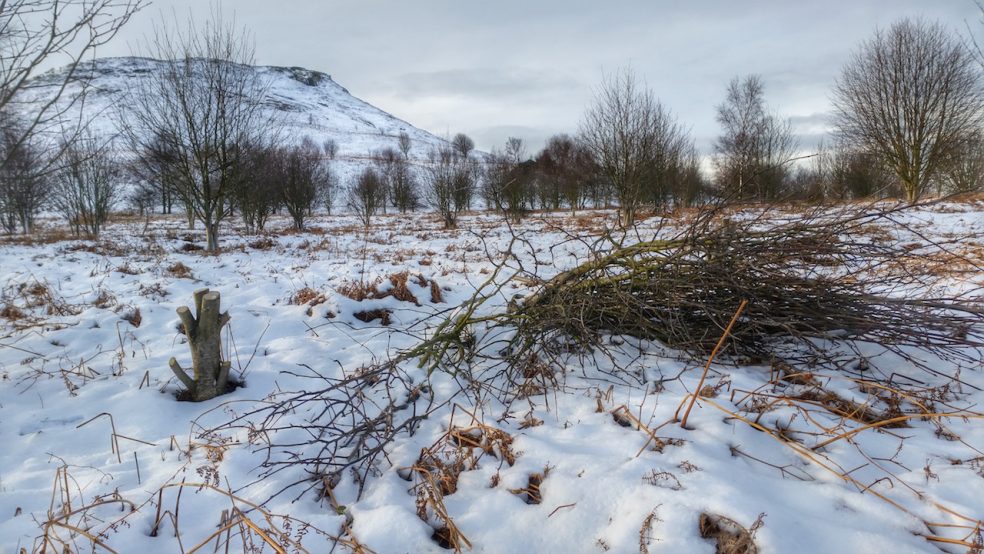 Land Management on the Slopes of Roseberry