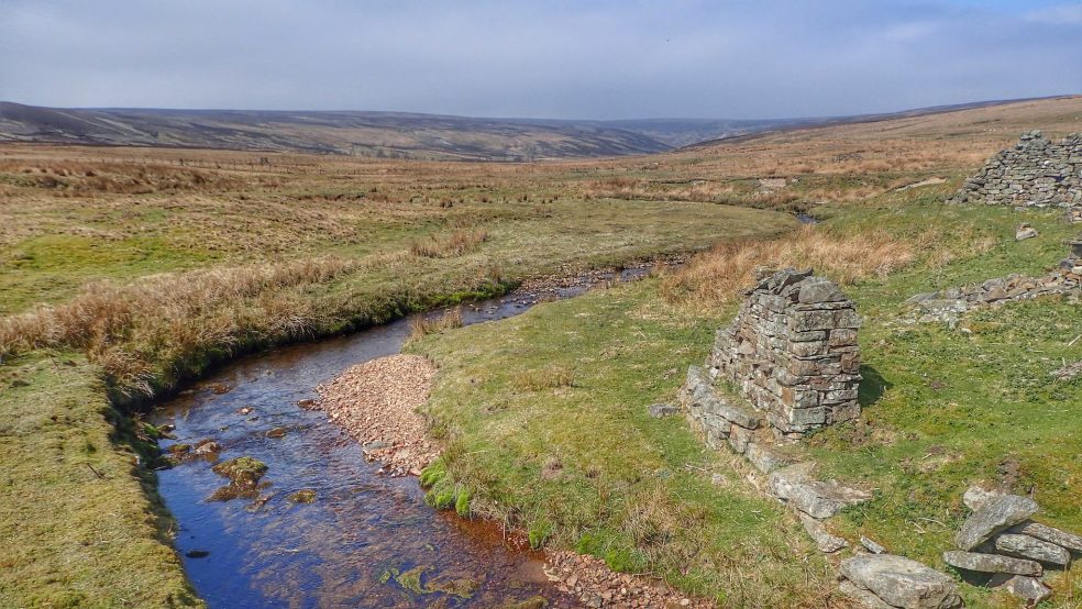 Apedale Beck