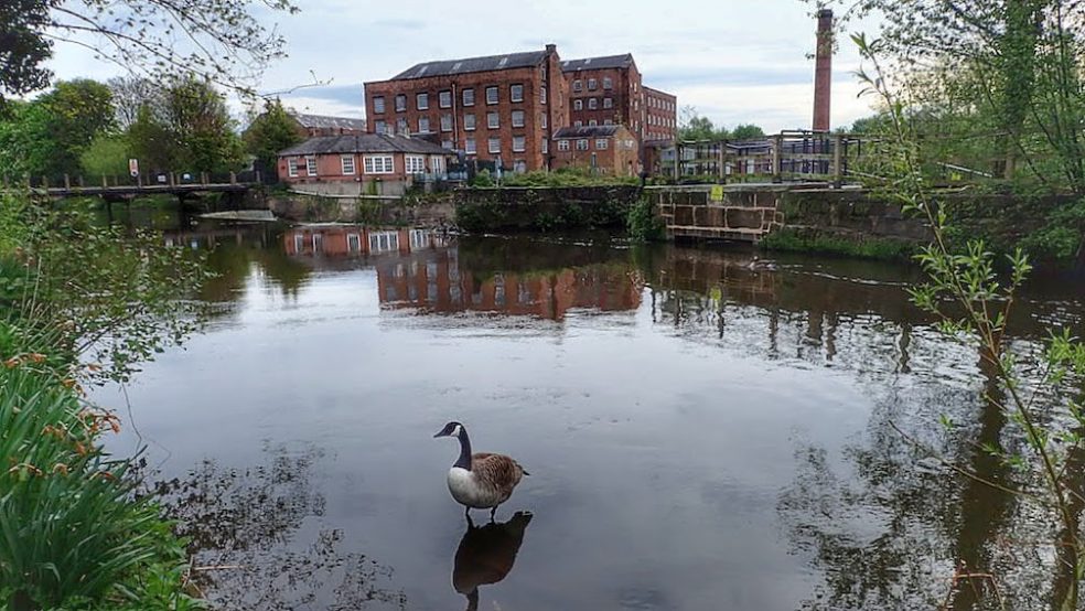 Boar’s Head Mills and the River Derwent