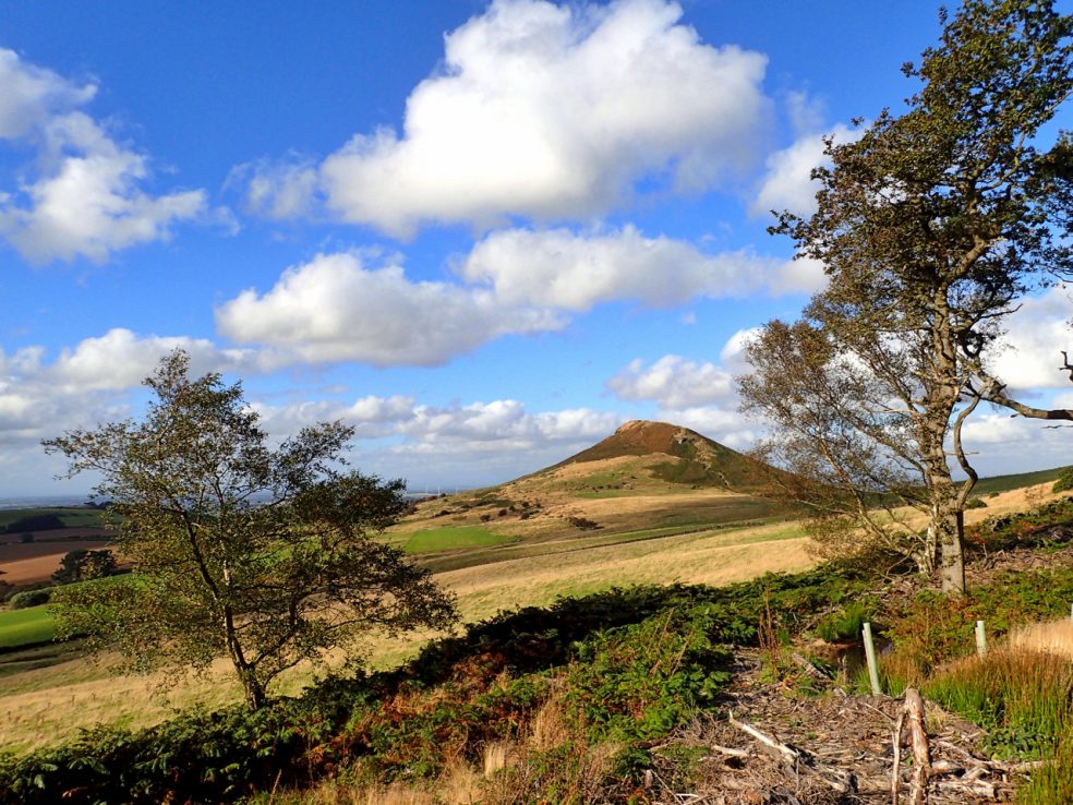 Roseberry Topping