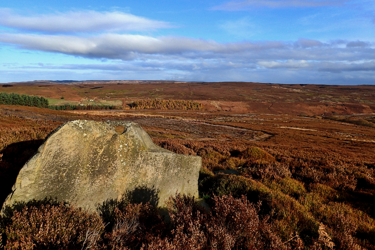 Lamb Stone,  Great Hograh Moor