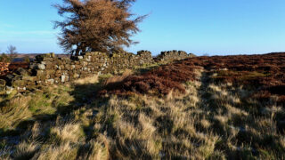 Ruined wall, Easby Bank