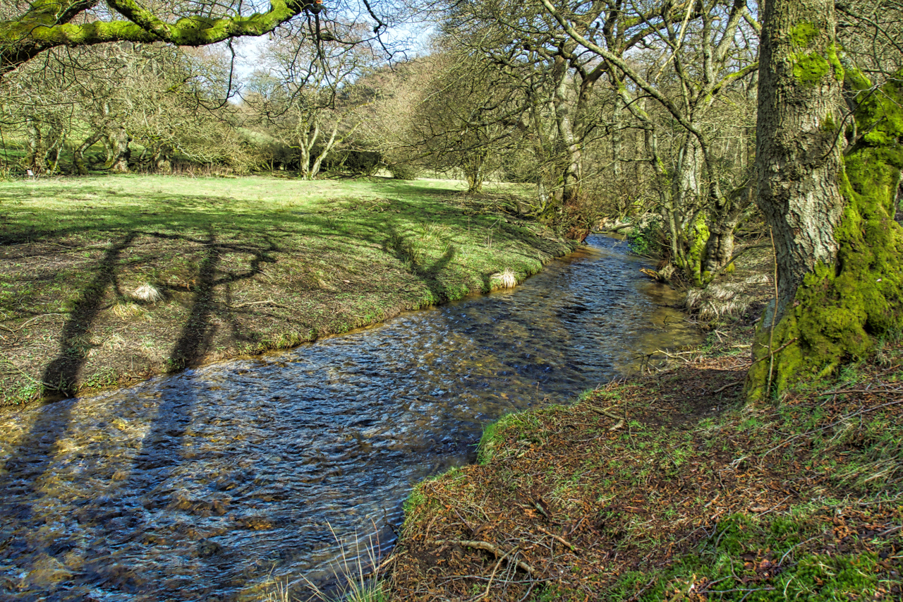Staindale Beck
