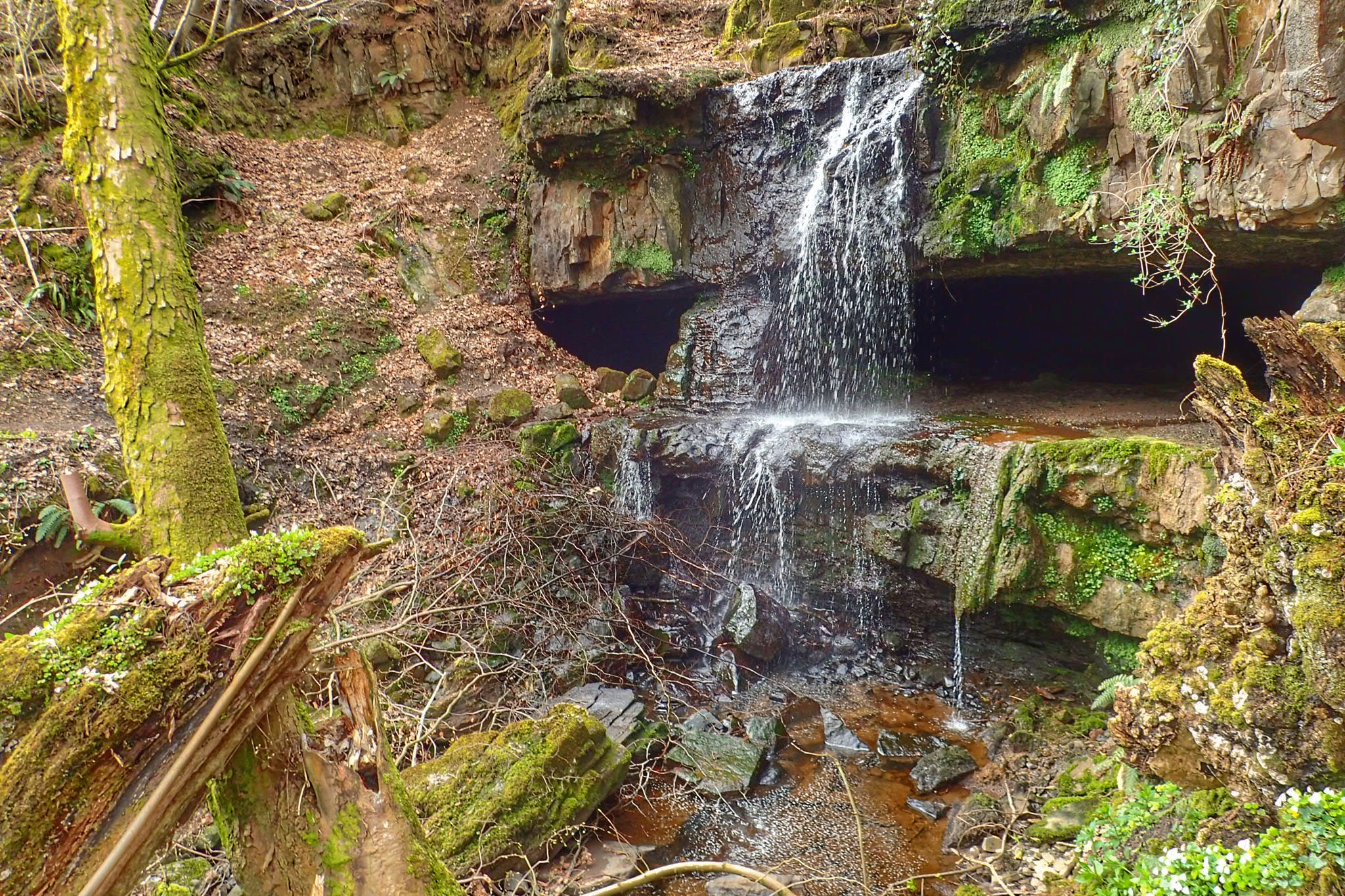 Linn Caves of Baldernock