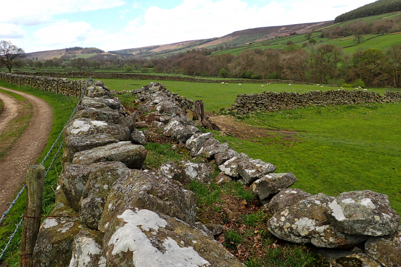 Dry stone wall curiosity