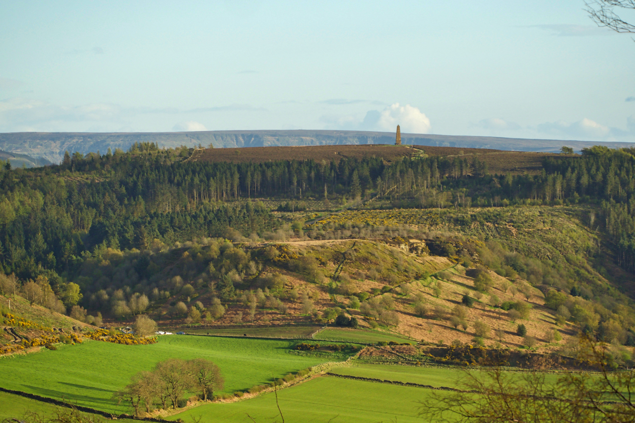 Capt. Cook’s Monument and Cockshaw Hill