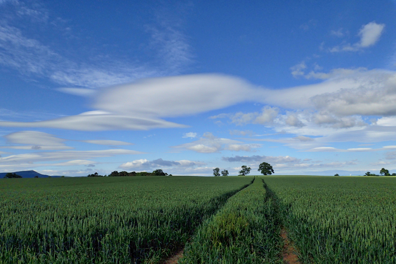 Lenticular clouds