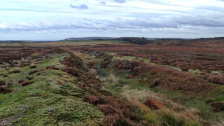 Prehistoric cross dyke, Fylingdales Moor