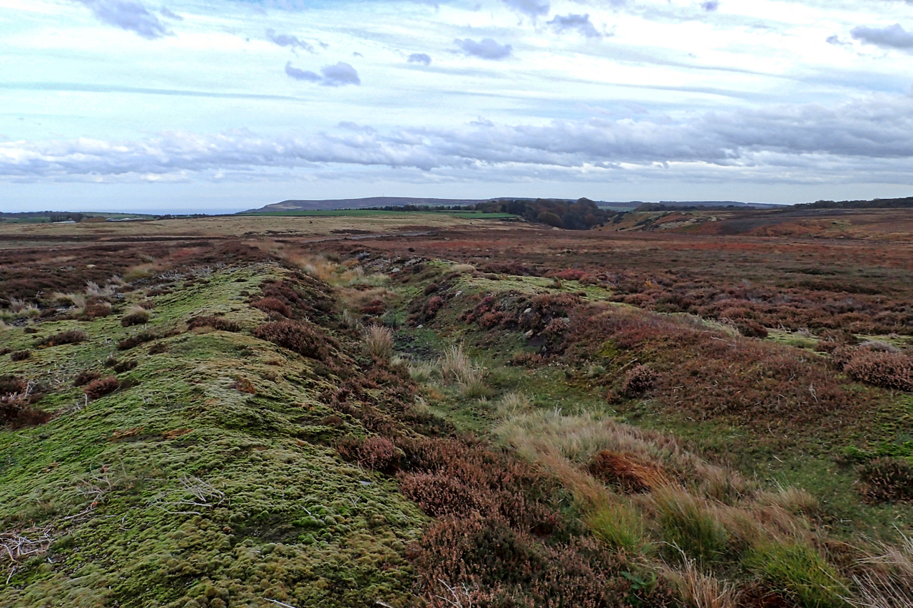 Prehistoric cross dyke, Fylingdales Moor