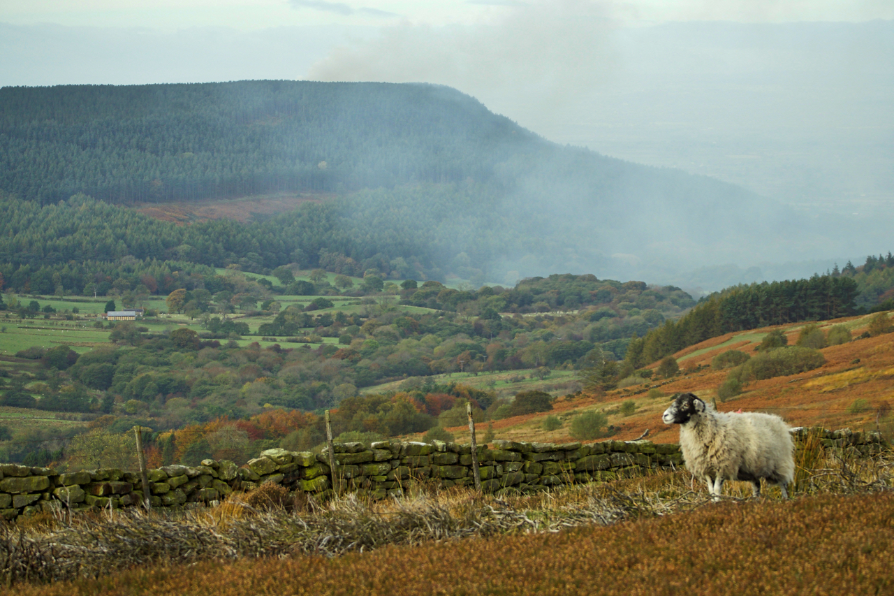 A moorjock on Barker’s Ridge