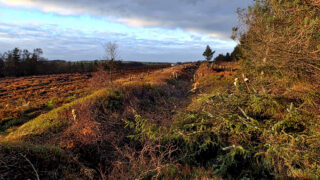 Prehistoric linear boundary, Bridestones Moor