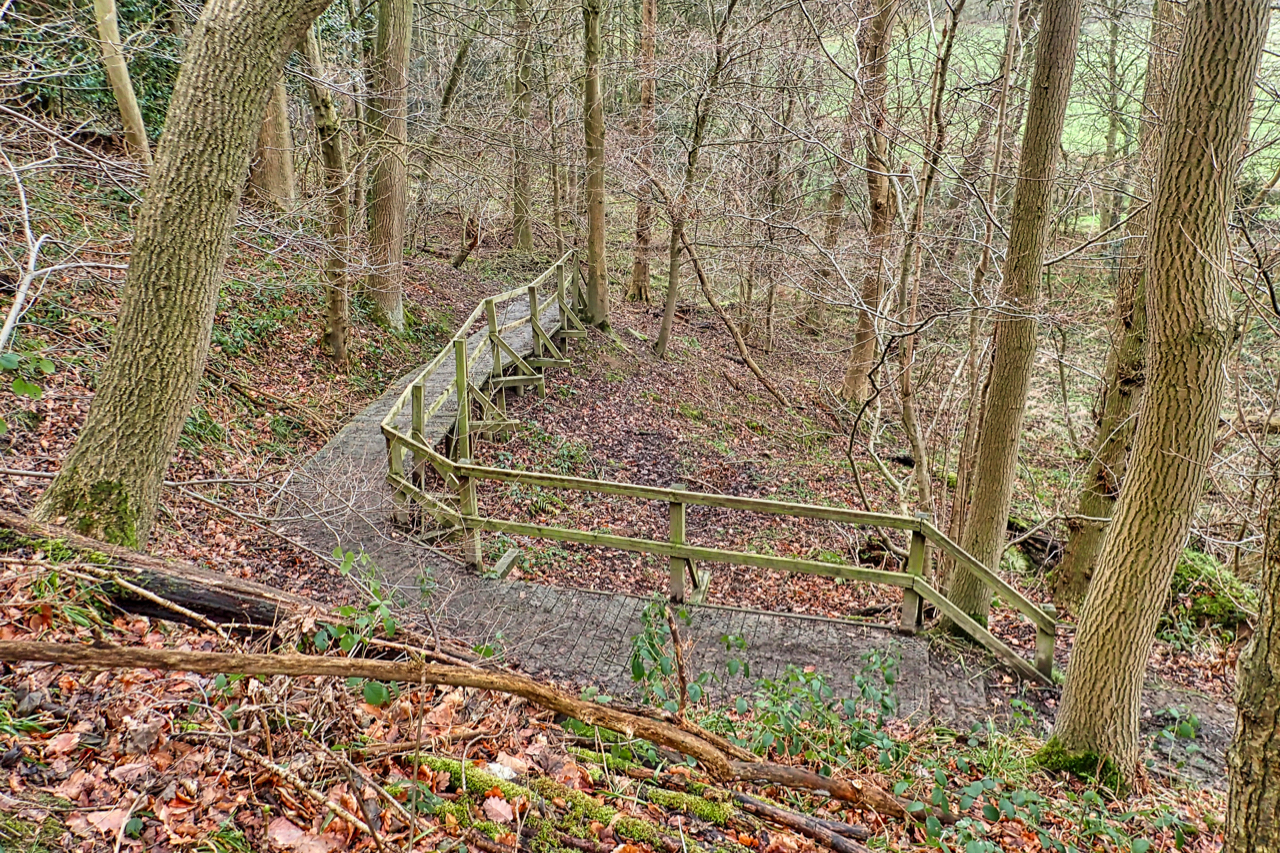 Permissive Footpath, Newton Wood