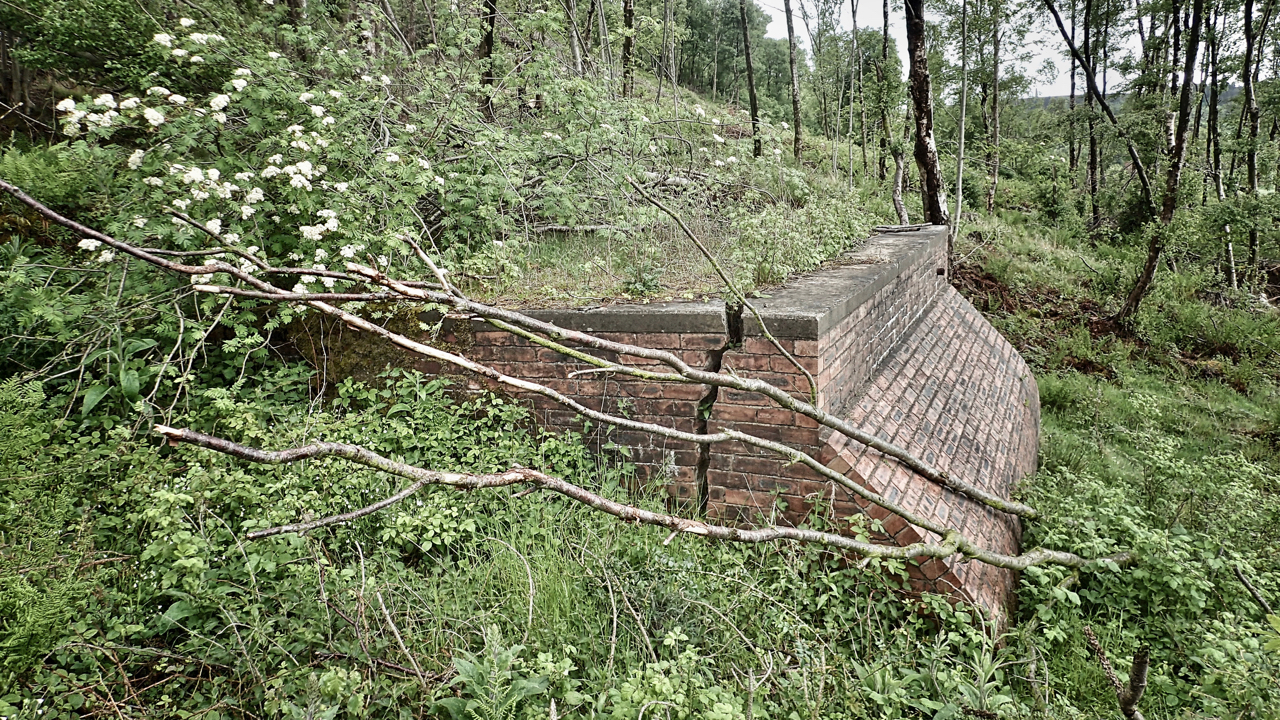 I’ve been running and exploring the local moors and woods since moving to Great Ayton in 1973