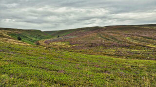 Ewe Crag Beck