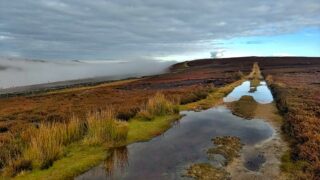 Nab End Moor