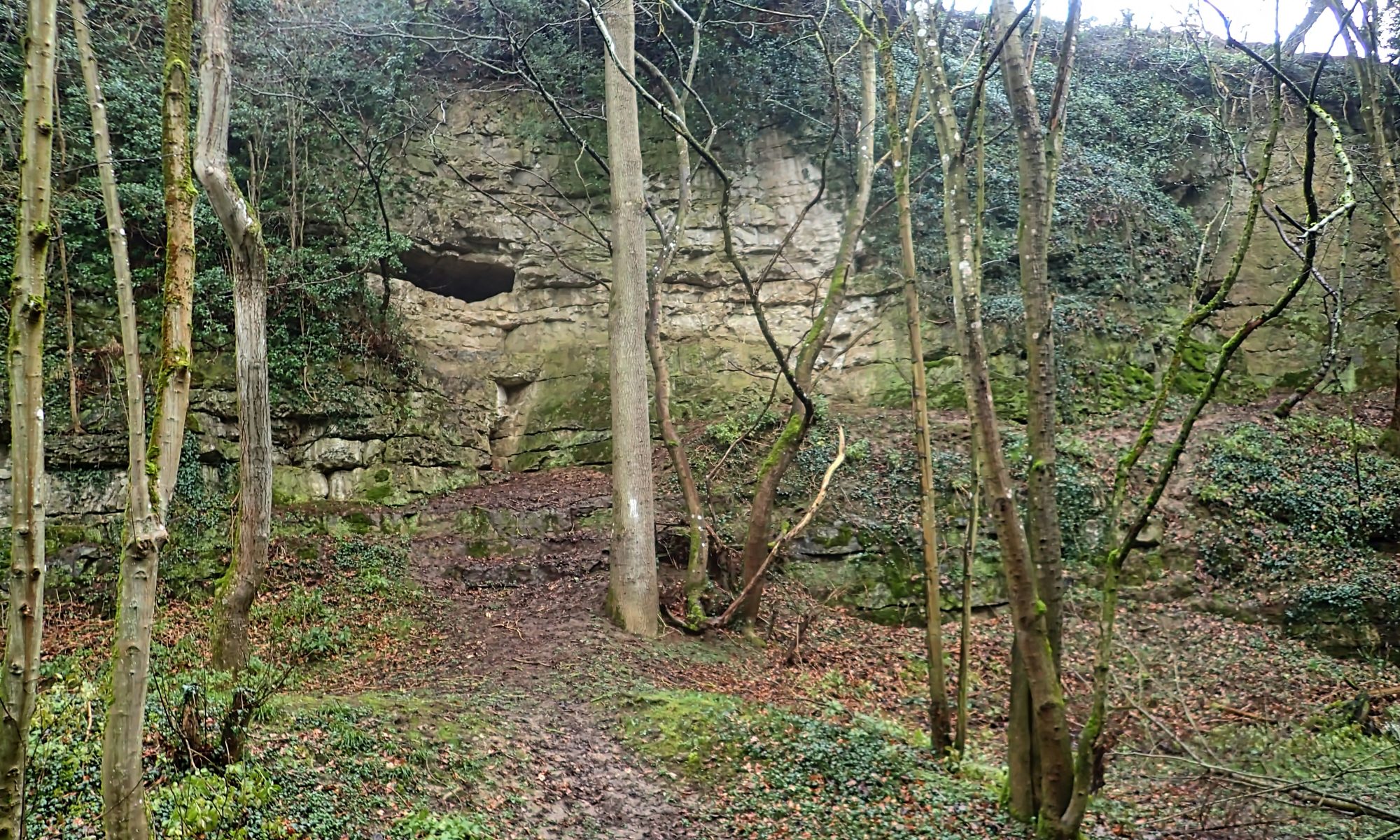 Kirkdale Cave