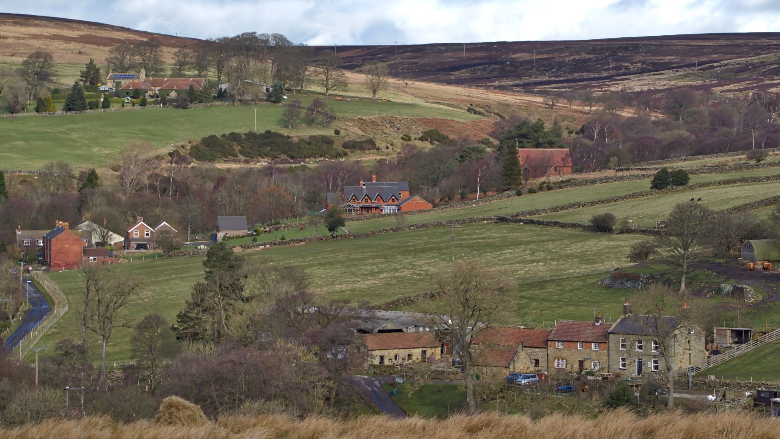 Commondale from the south