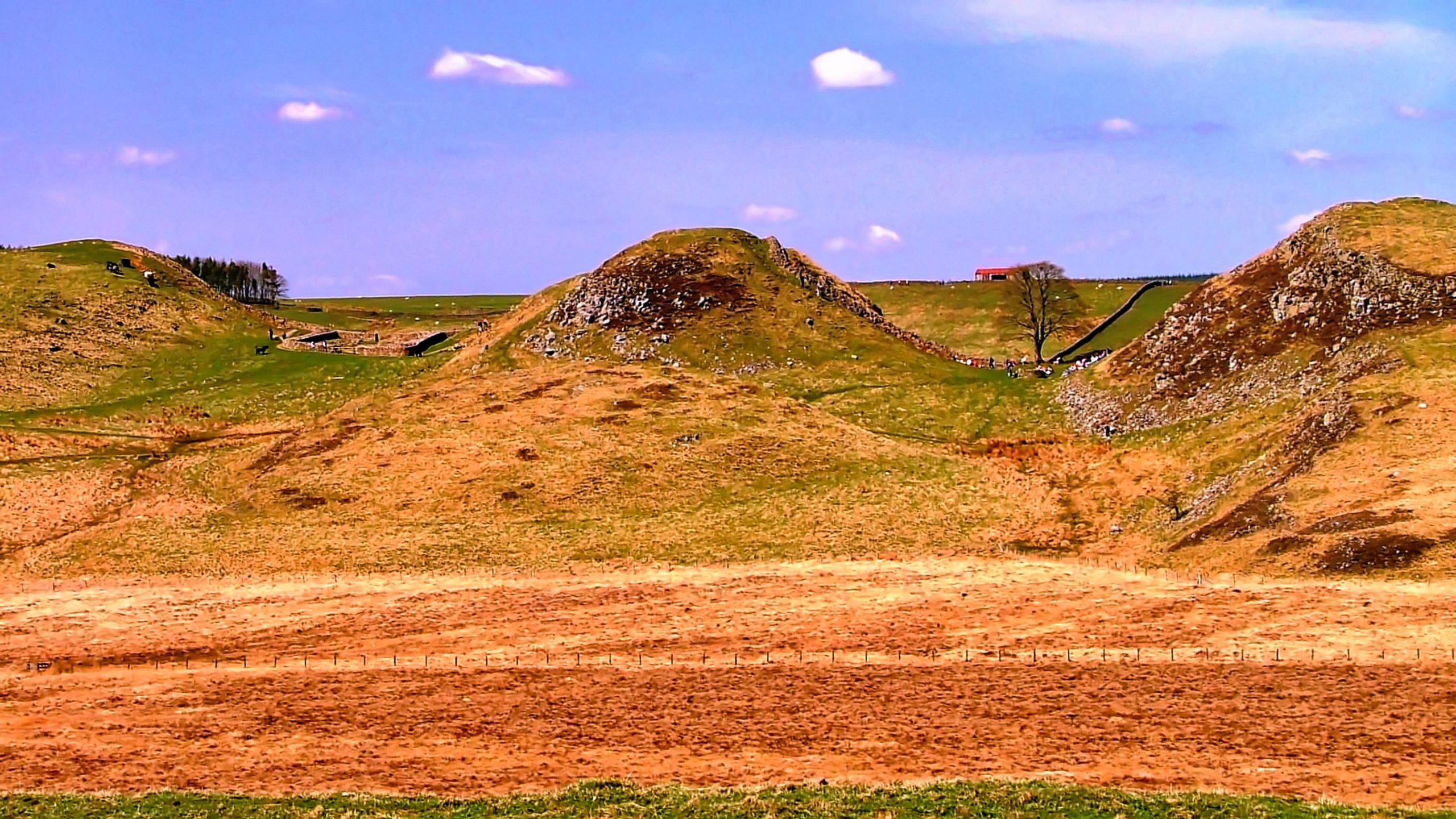 Milecastle 39 and the Sycamore Gap