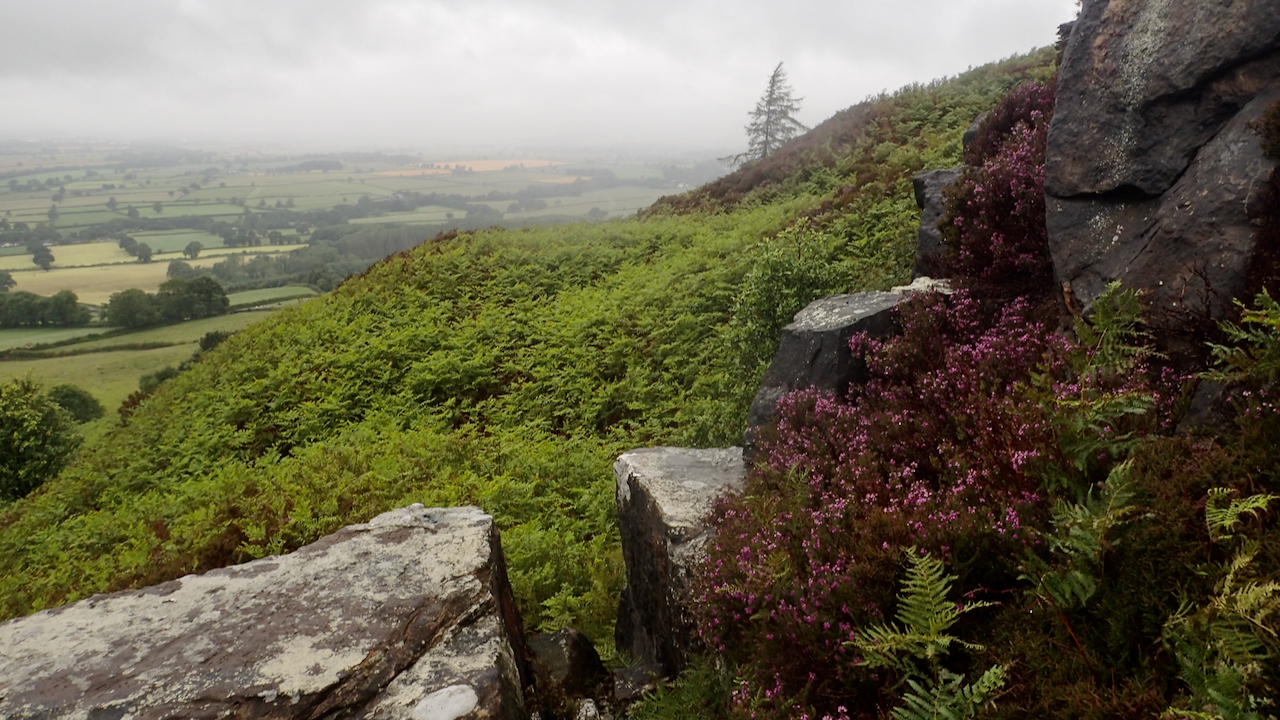 Disused quarry below Ward Nab