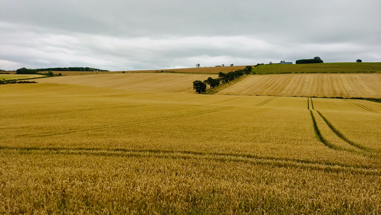 The ‘Battle of Flodden Field’