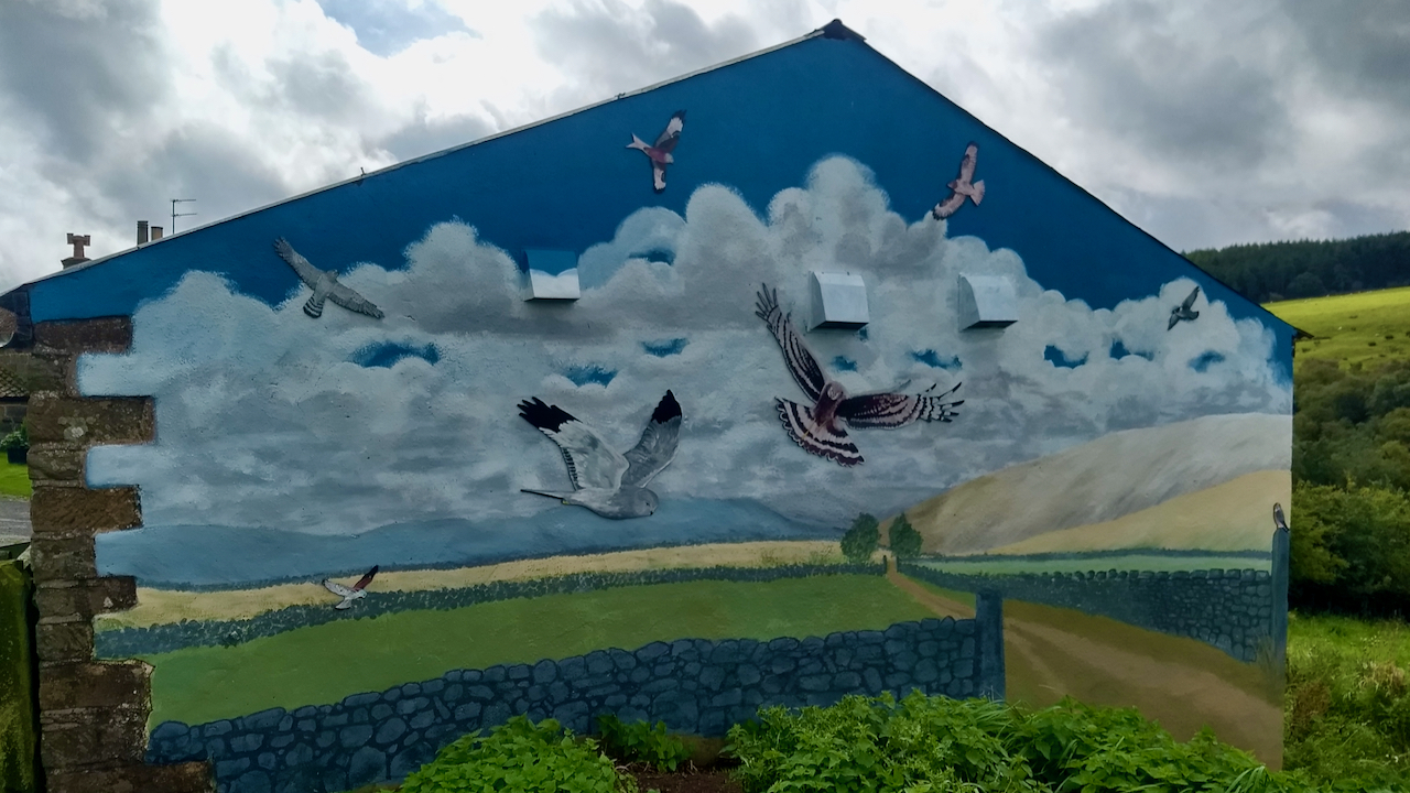 Hen Harrier Day 2020 Mural