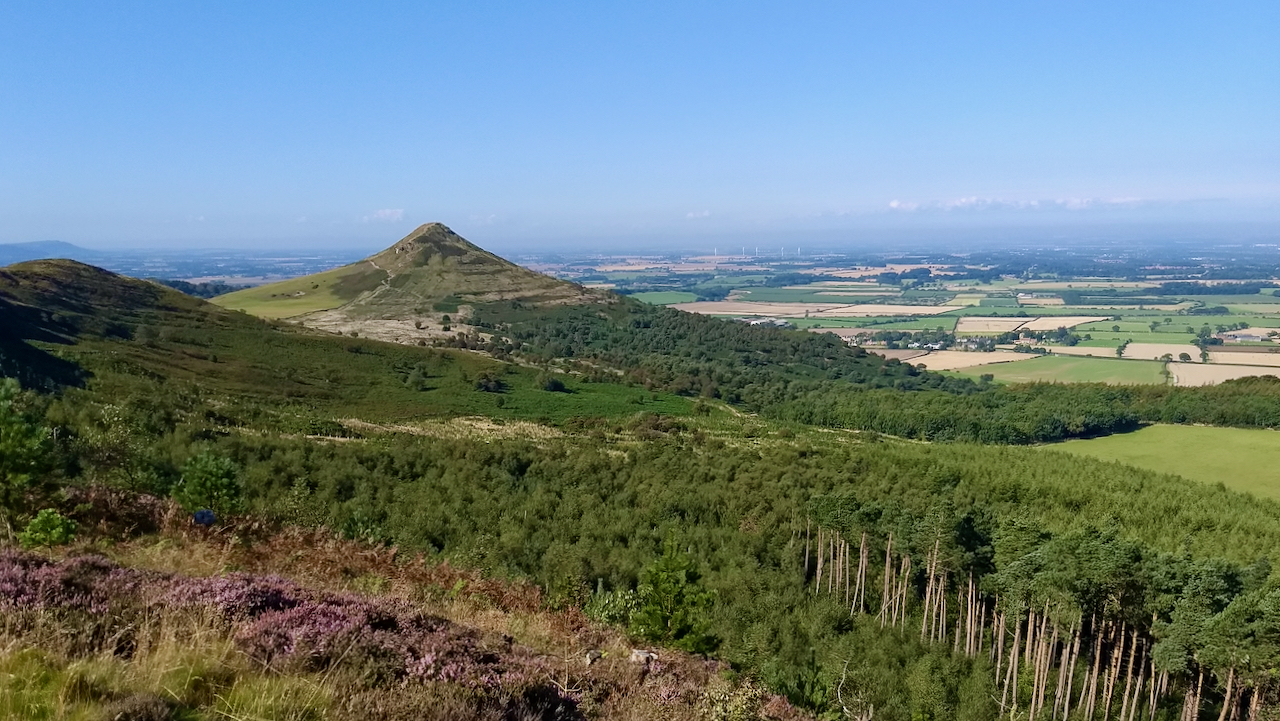 Roseberry from Ryston Bank