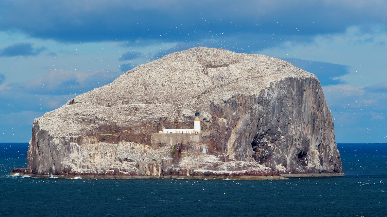 Bass Rock