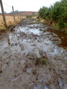 Scaling Dam: the Circular Walk