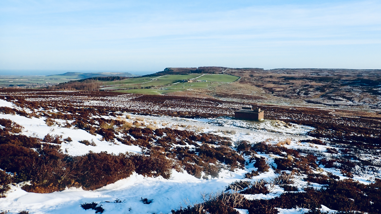 The Bones of Winter