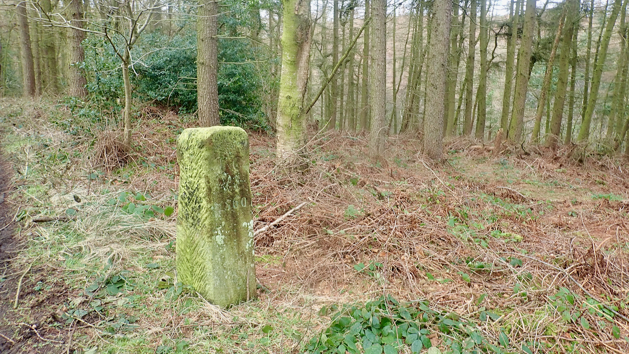 A pair of boundary stones