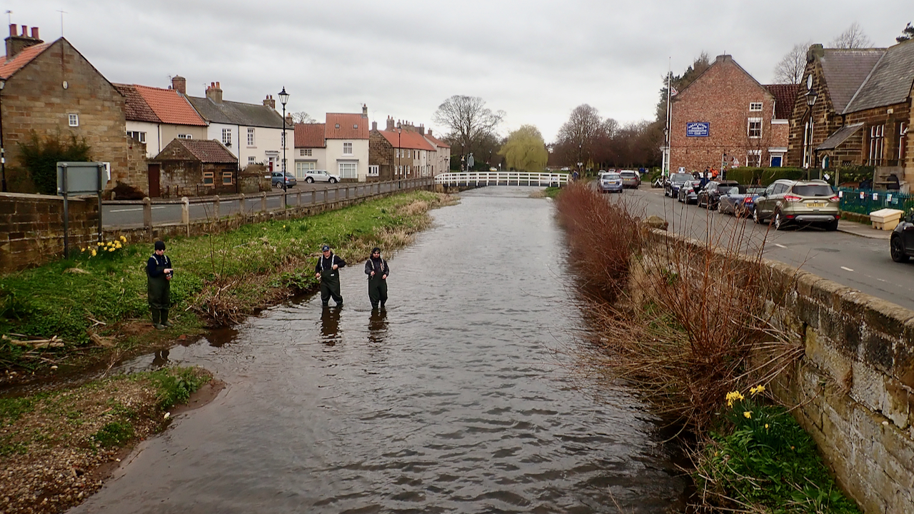 The River Leven at Great Ayton