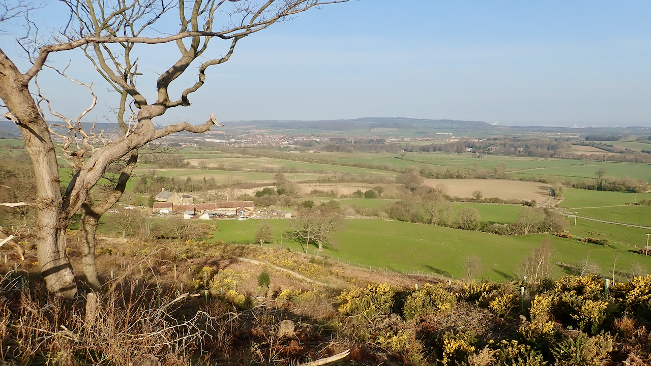 View to Guisborough over Old Park Farm