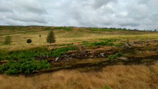 Scarth Wood Moor – a Neolithic village?