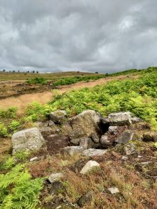 Scarthwood Moor Neolithic hut circles - 'East House'
