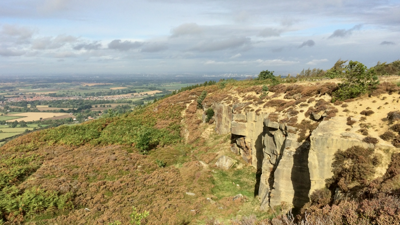 Sandstone Quarry, Easby Bank