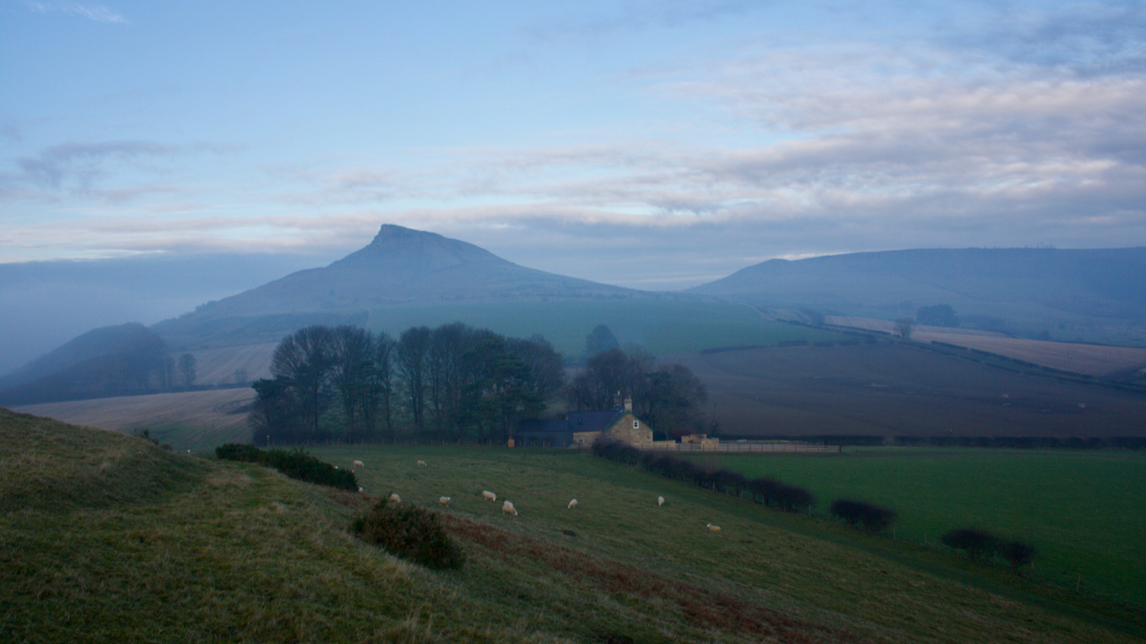 A late afternoon wander