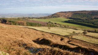 Green Bank