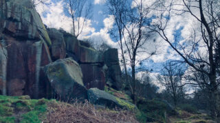 The Chevin