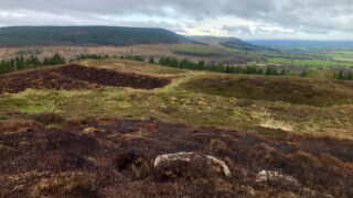 Live Moor promontory fort