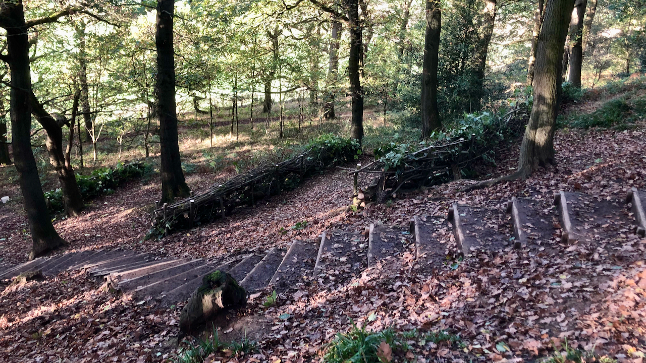 Dry hedging in Newton Wood, two years on