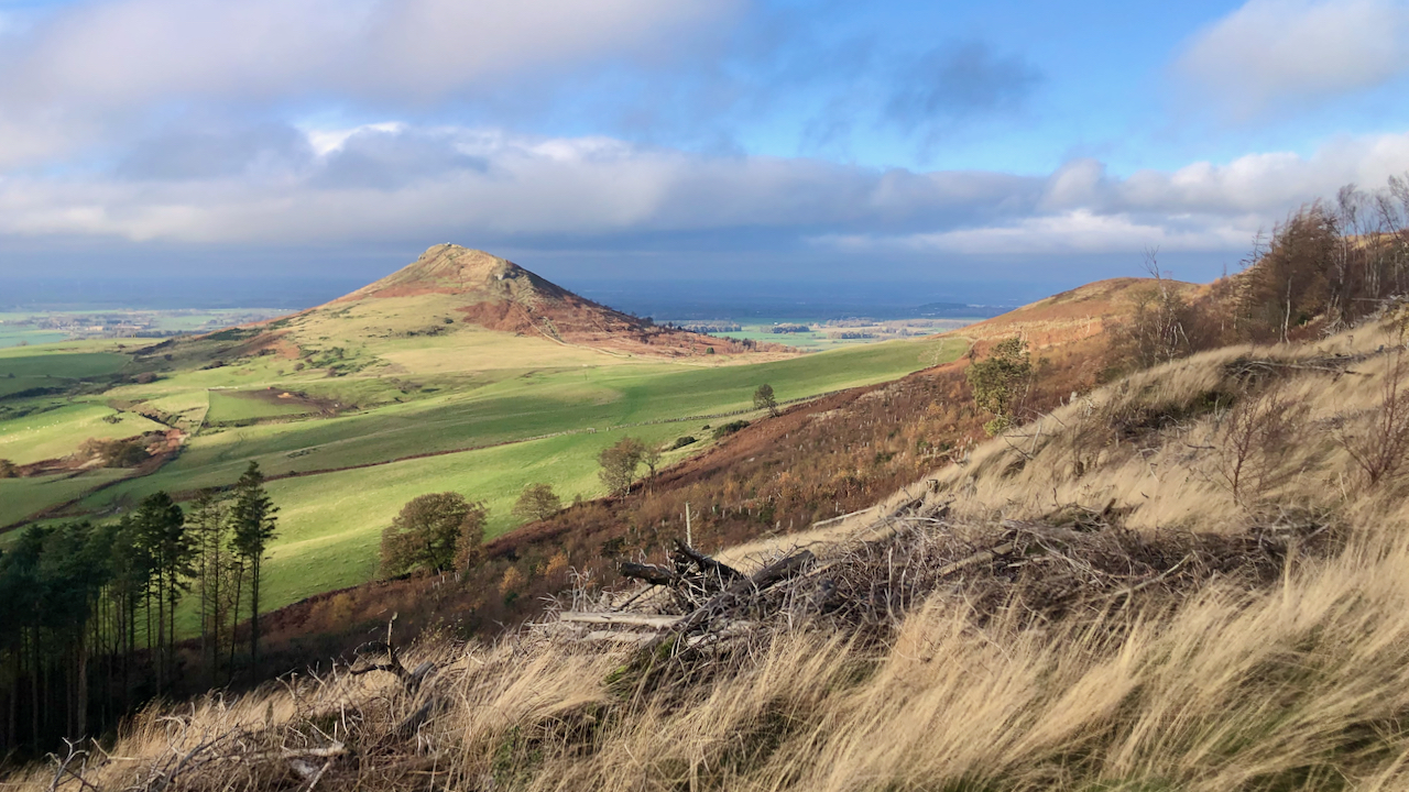 View of Roseberry Topping