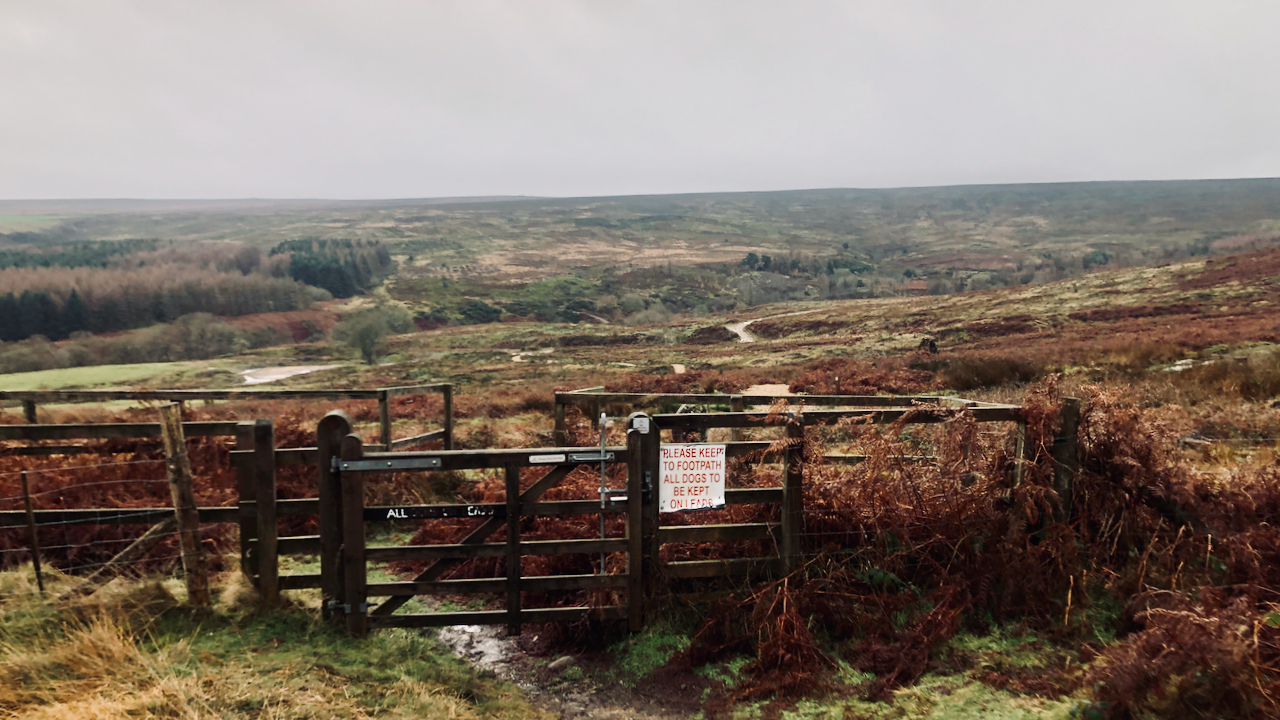 View of the former Westworth Plantation, recently clear-felled. In the foreground a kissing-gate giving access to the Public Footpath which crosses the moor.
