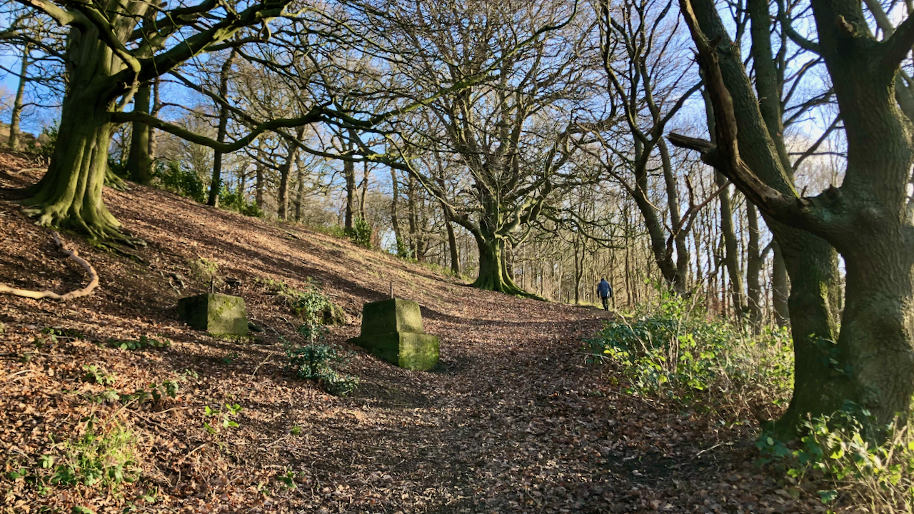 A photo looking uphill of a path through a sunlit beech wood. A walker ascends in the distance and, in the foreground, are two concrete bases, the remains of an aerial ropeway to the Ayton Bank Ironstone Mine.