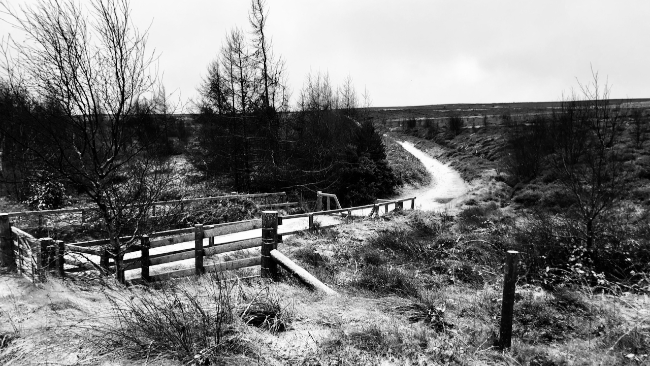 Monochrome scene of a heather moorland with a track and gate.