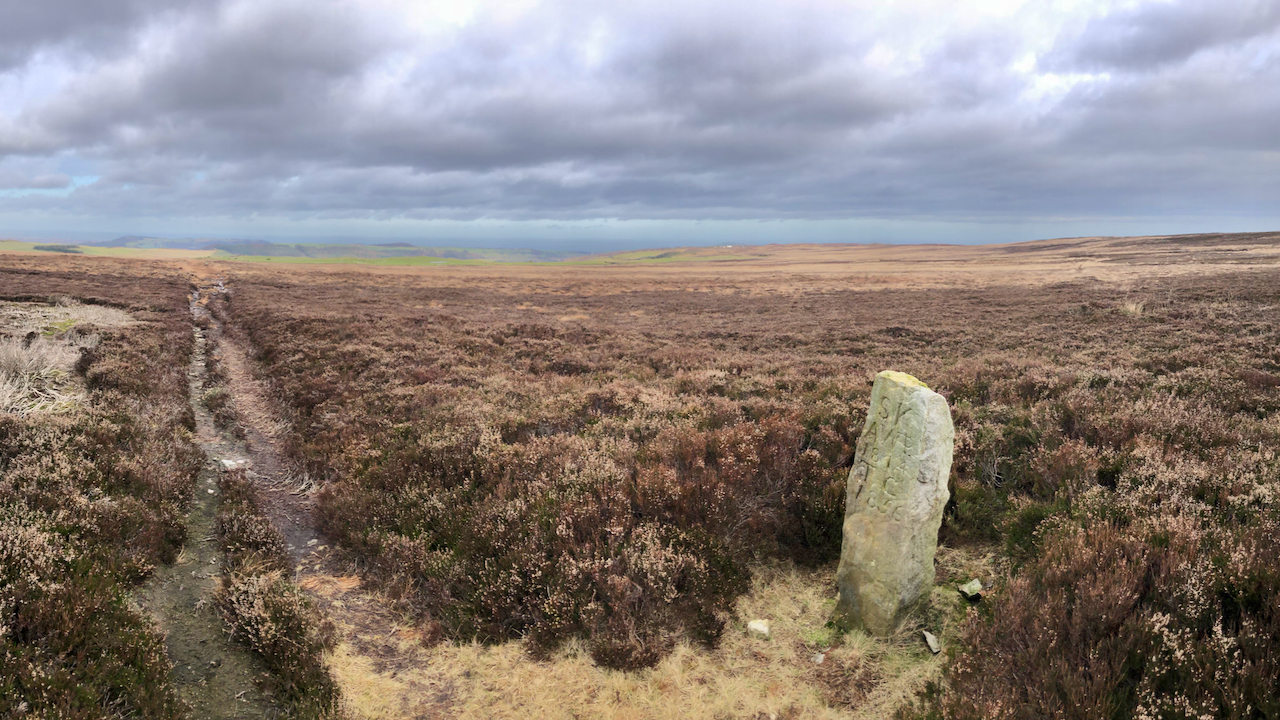 Boundary stone on Stanghow Moor