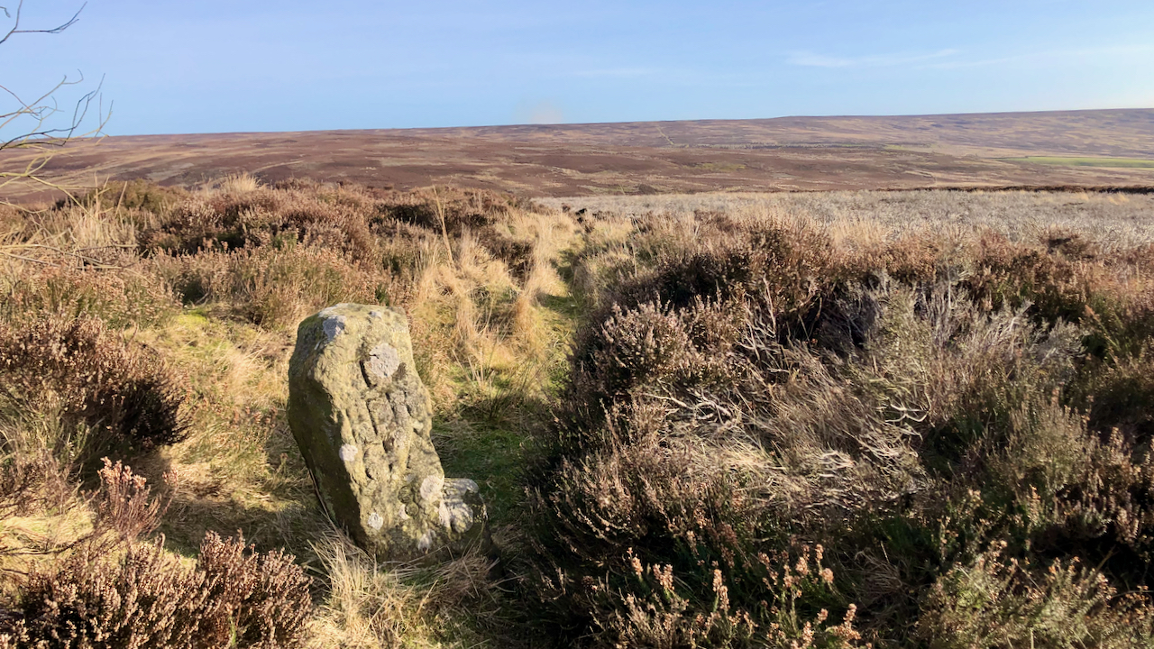 A boundary stone on Hutton Moor