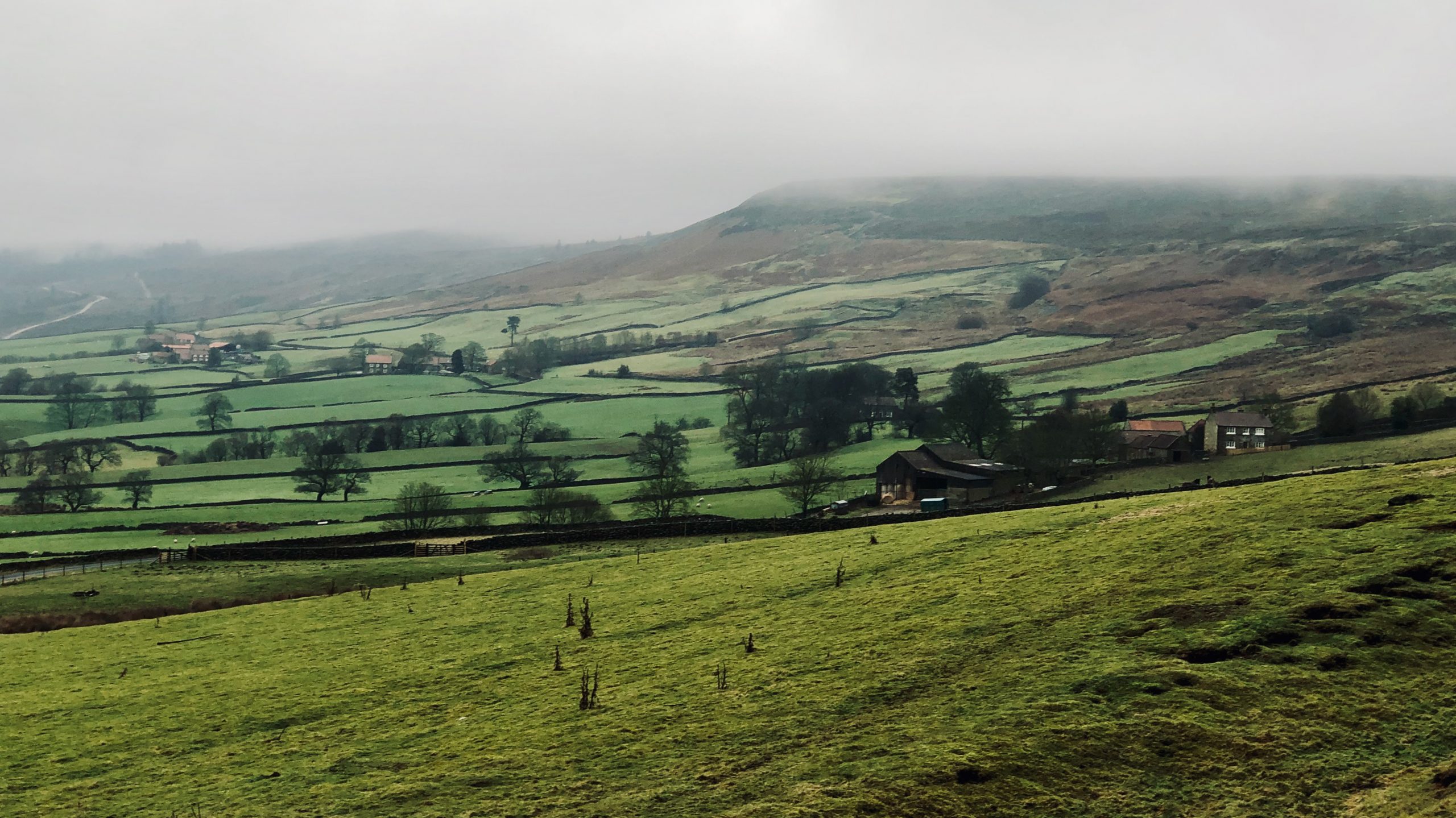 A gloomy view of Bransdale East Side. There is a dampness in the air, cloud covers the moor tops and on the right an isolated farmstead.