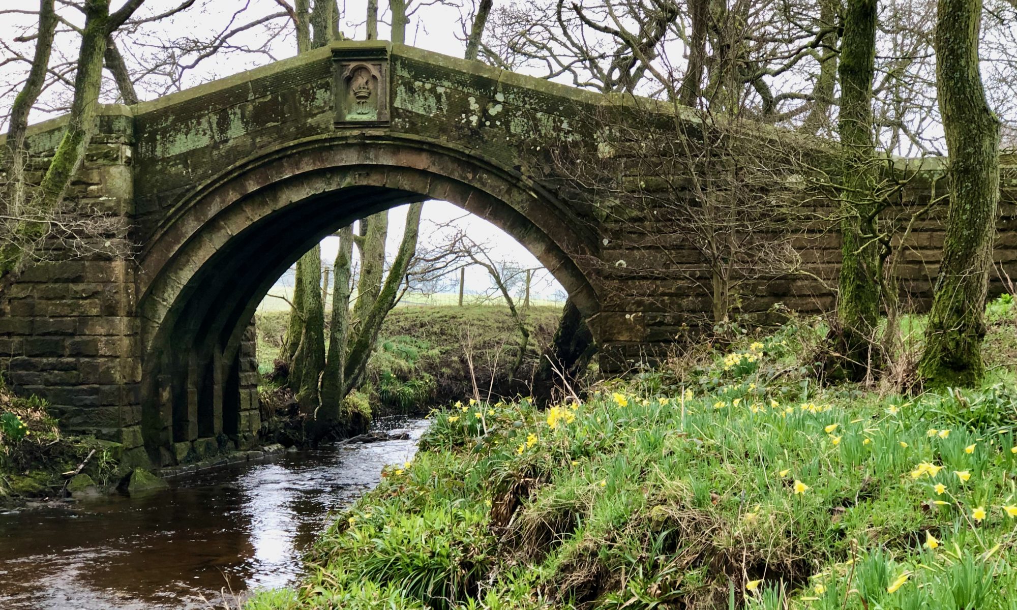 Close up of a single arch packhorse spanning the infant River Esk. Daffodils are in flower on the right-hand bank.