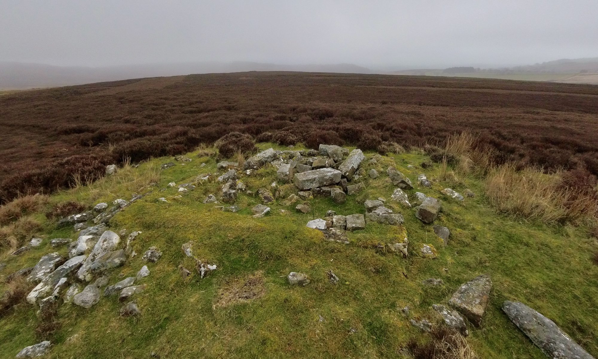 A view of a grass covered Bronze Age burial mound surrounded by heather moorland in drab, wintry colours. A Bronze Age round barrow with an earth and stone mound standing 1.5 metres high. It is round in shape and is 23 metres in diameter. In the centre of the mound are the stone foundations of a shooting hut which dominates the view.