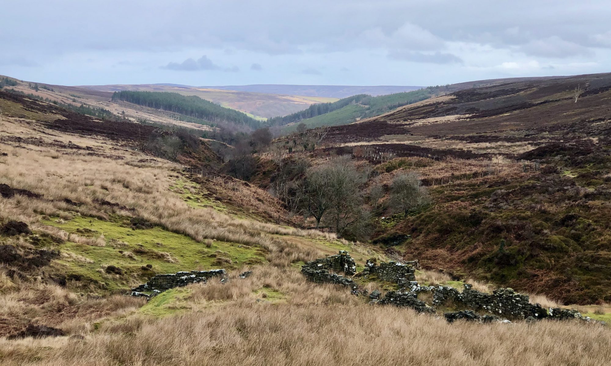 Landscape photo looking down a dale in the North York Moors. In the foreground are the ruins of colliers' cottages for the local coal mining industry.